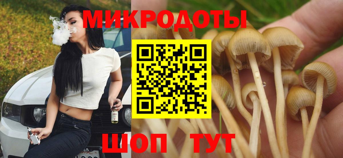 Советский  Псилоцибиновые грибы Psilocybine cubensis  Псилоцибиновые грибы мухоморы  Вход с VPN 